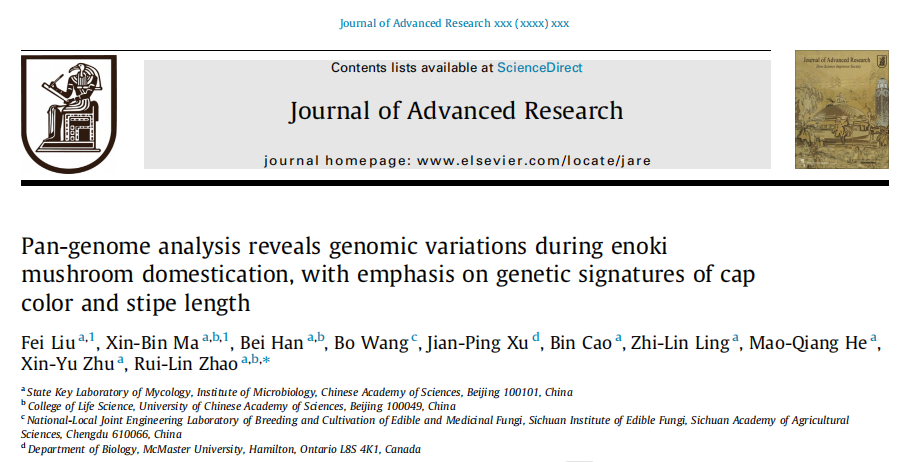 中国科学院微生物所赵瑞琳团队泛基因揭示金针菇驯化过程中基因组进化并识别菌盖颜色和菌柄长度变异基因